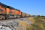 BNSF 6251 Roster shot